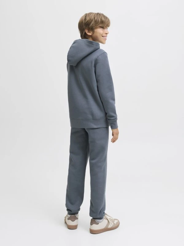 Jack&Jones Hoodie STAR - productfoto
