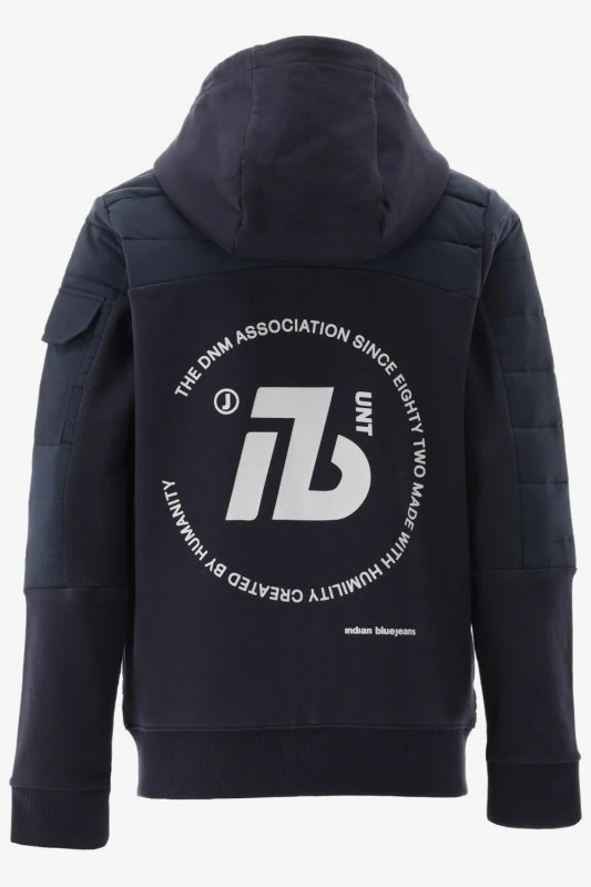 Indian Blue Tussenjas