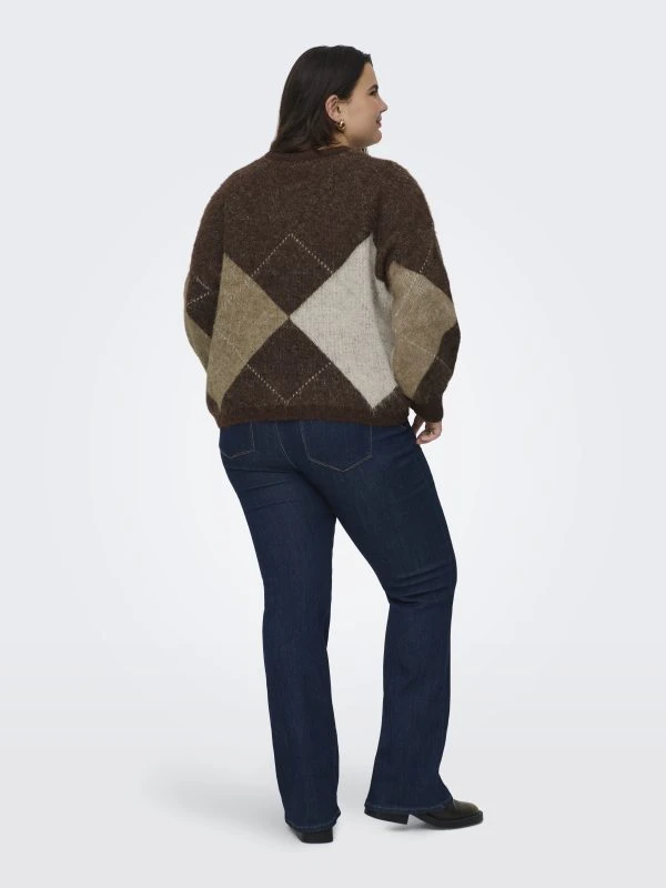 Only Carmakoma Trui NOEME - productfoto