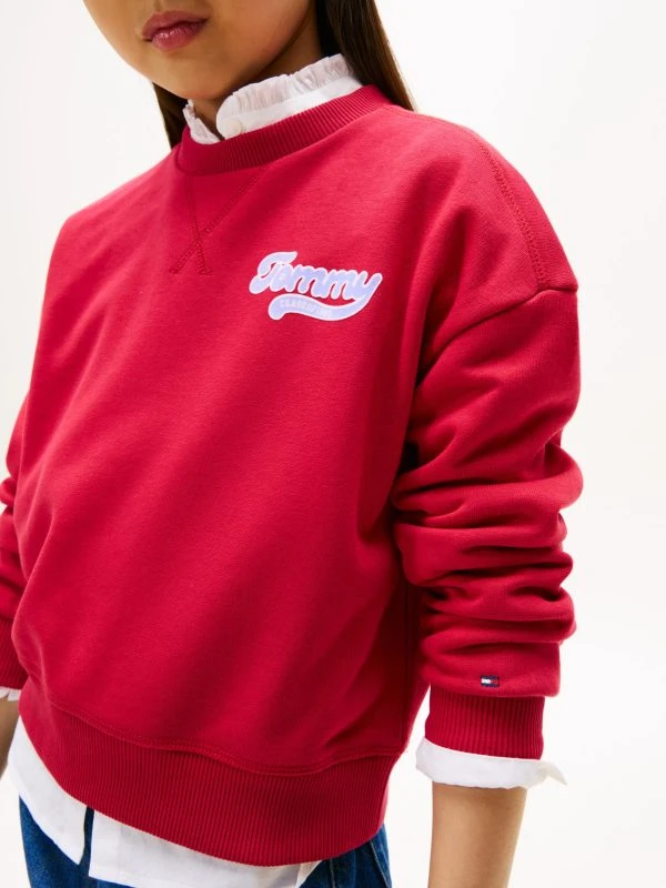 Tommy Hilfiger Sweater
