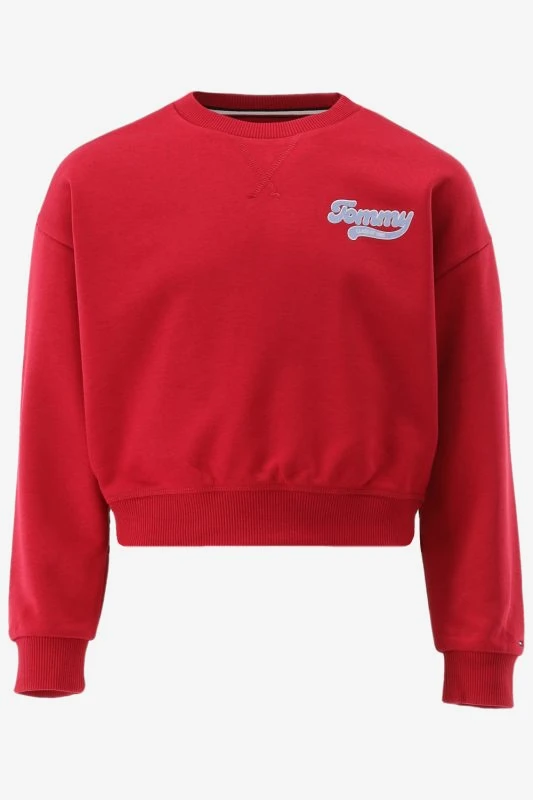 Tommy Hilfiger Sweater