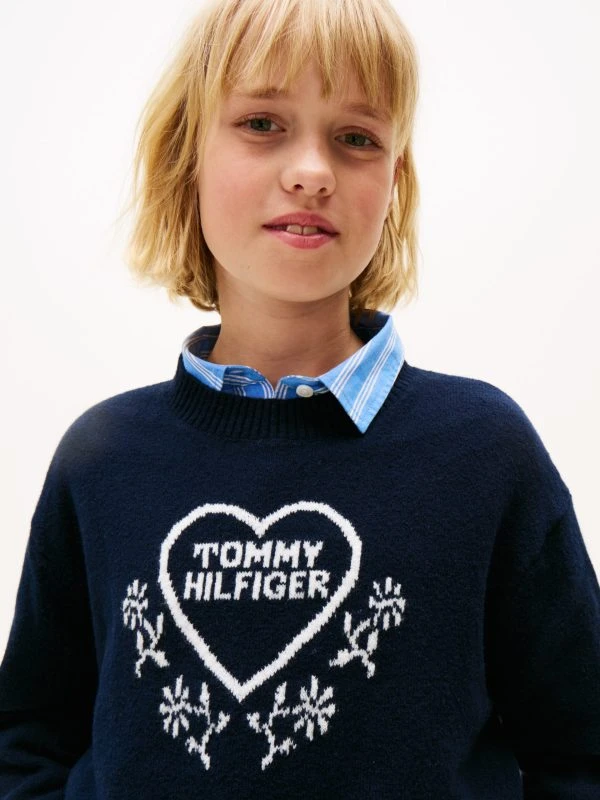 Tommy Hilfiger Trui