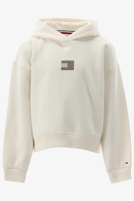 Tommy Hilfiger Hoodie
