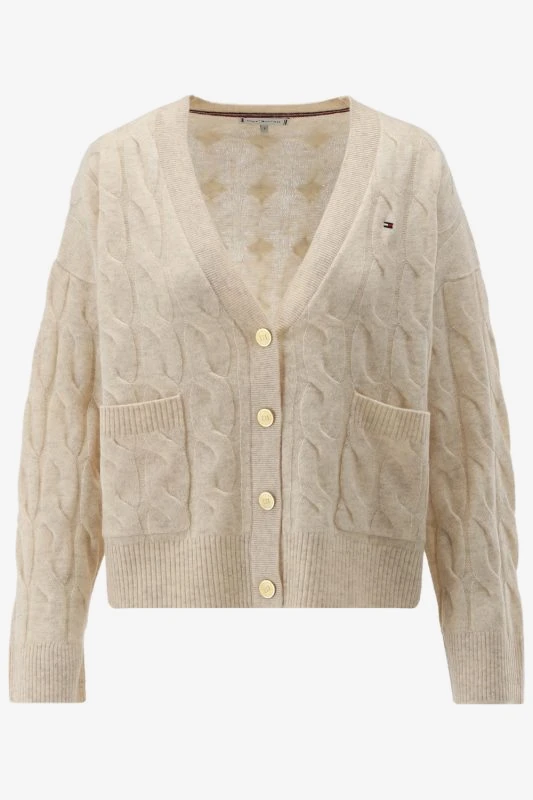Tommy Hilfiger Vest