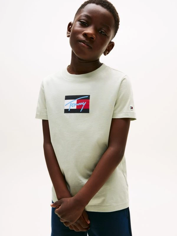 Tommy Hilfiger T-shirt