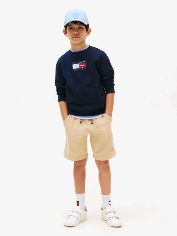 Tommy Hilfiger Trui