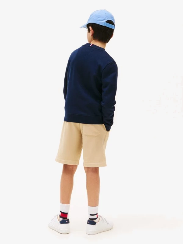Tommy Hilfiger Sweater