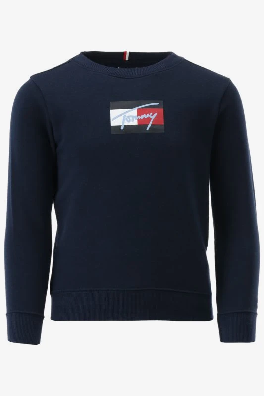 Tommy Hilfiger Sweater