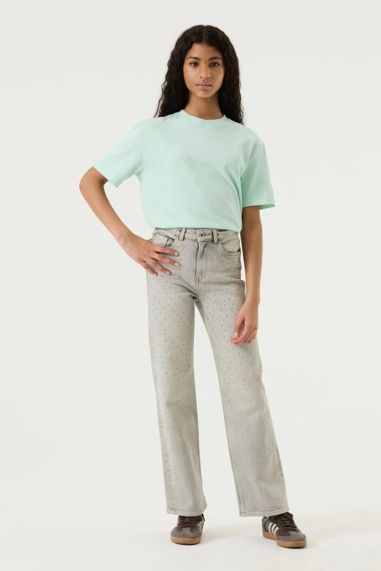 Garcia Straight Fit ILVY