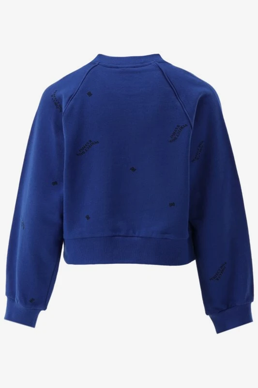 Indian Blue Sweater