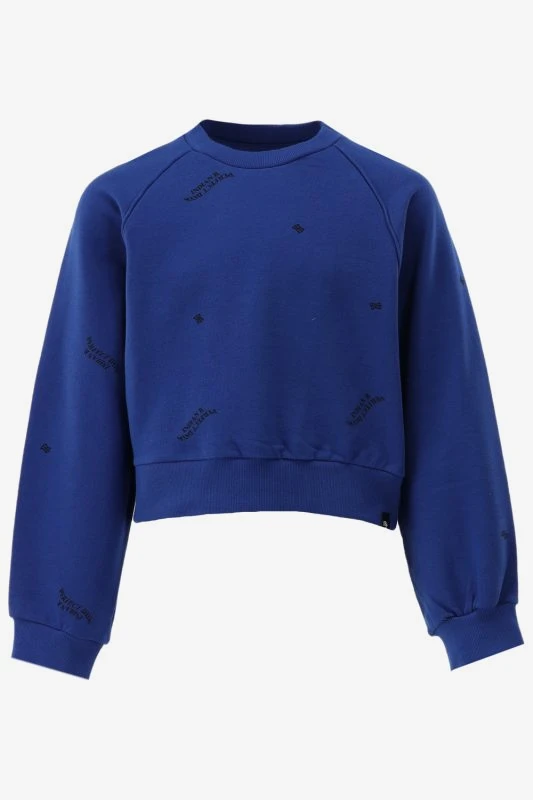 Indian Blue Sweater