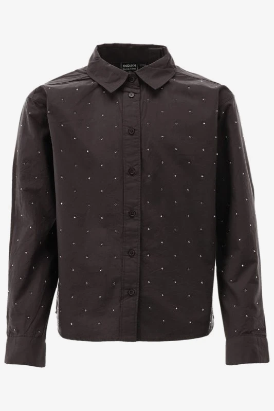 Indian Blue Blouse