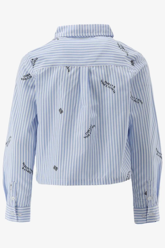 Indian Blue Blouse