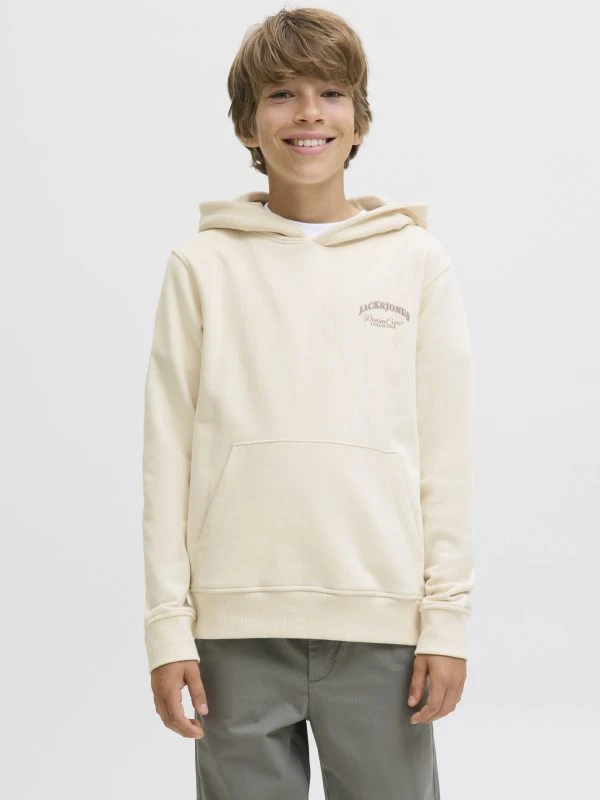 Jack&Jones Hoodie BRANDES