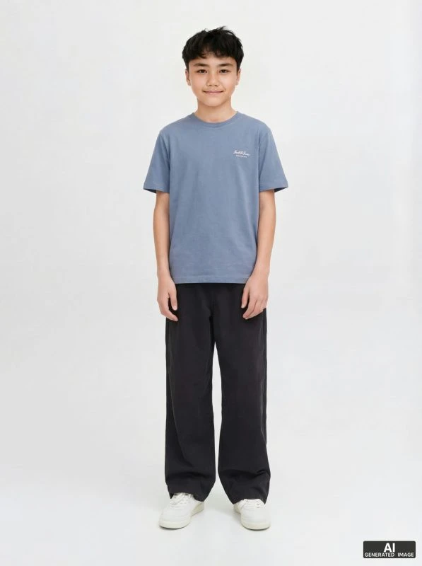 Jack&Jones T-shirt ARCHIVE GRAPHIC