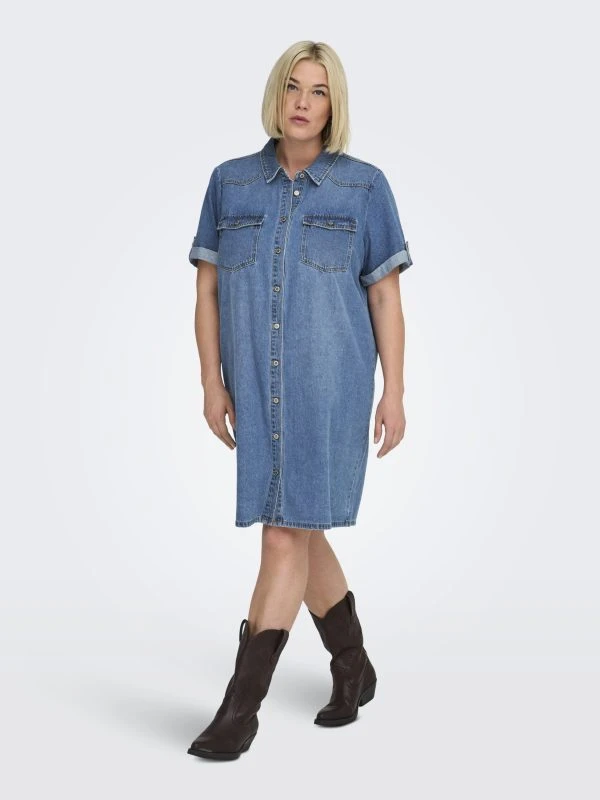 Only Carmakoma Jurk LISA