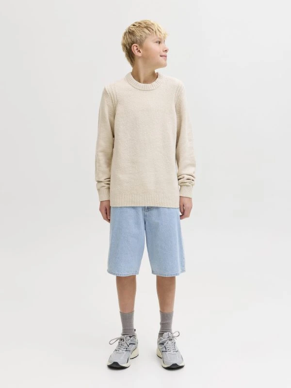 Jack&Jones Jeans Short ALEX