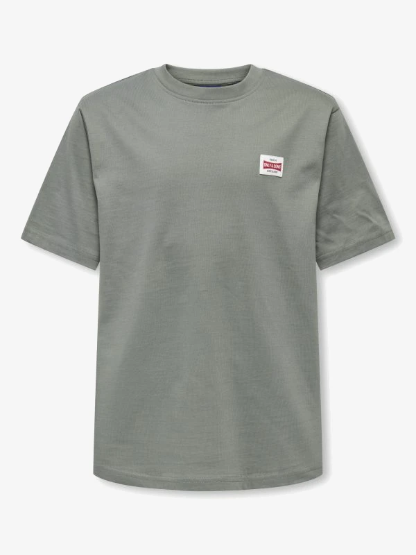 Only & Sons T-shirt FRED LIFE
