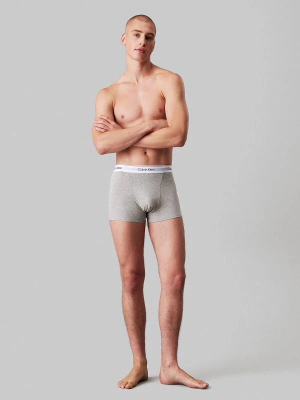 Calvin Klein Underwear RELAXED FIT TRUNK 3PK