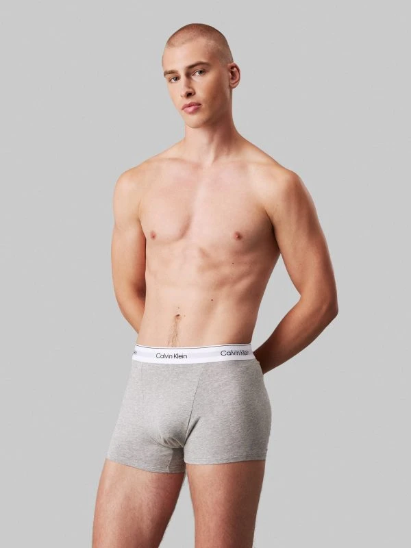 Calvin Klein Underwear RELAXED FIT TRUNK 3PK