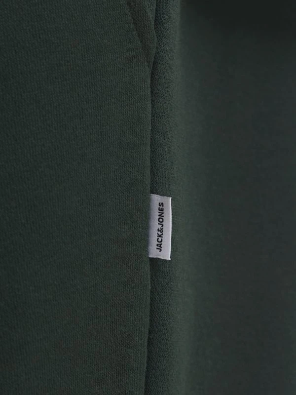 Jack&Jones Sweatpants KANE