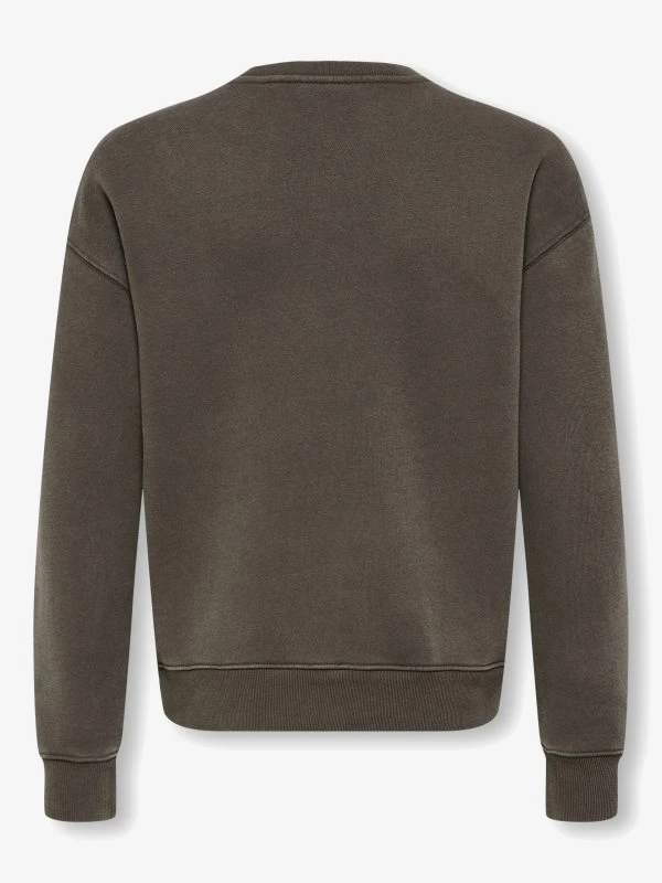 Only & Sons Hoodie LARRY