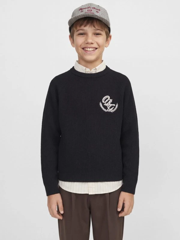 Jack&Jones Trui FREDERIKSBERG